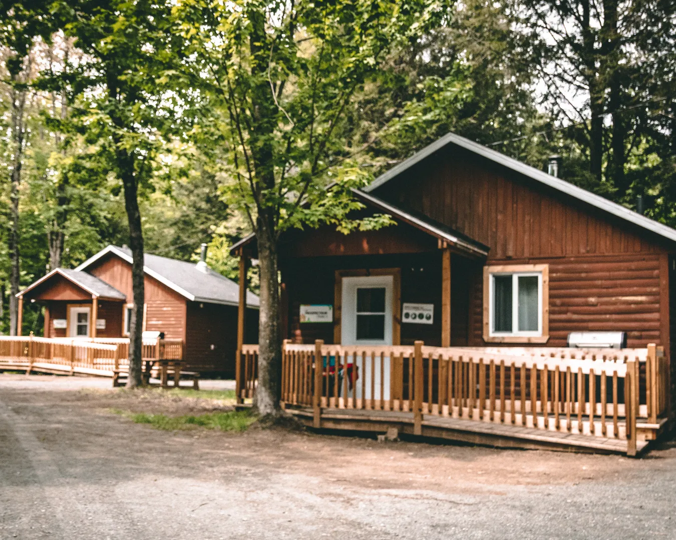Rangée de petits chalets en bois avec rampes d’accès. Site forestier calme adapté aux séjours accessibles.