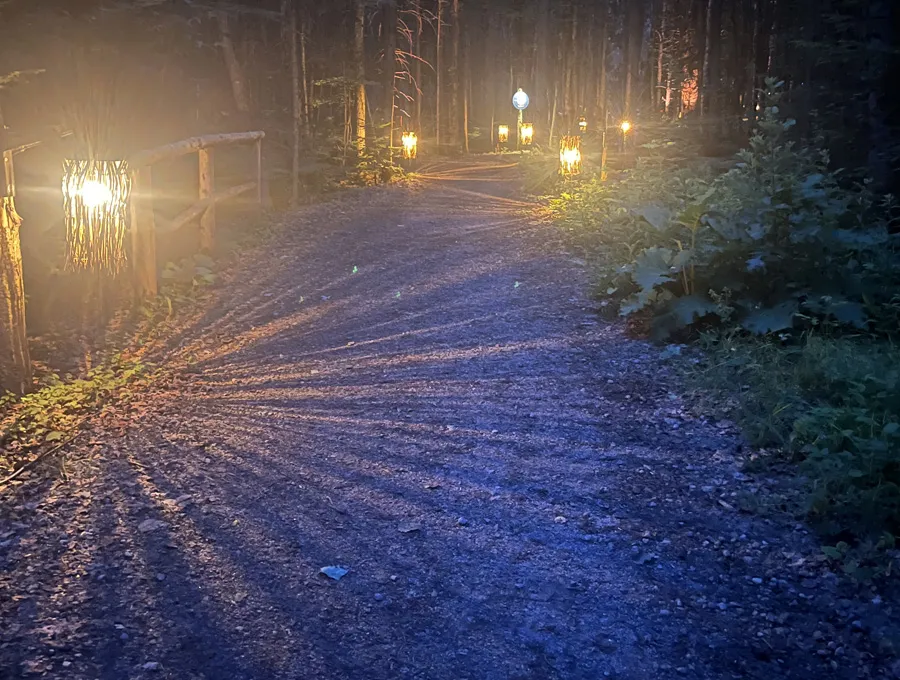 Sentier en forêt éclairé de nuit par plusieurs luminaires installés le long du parcours.