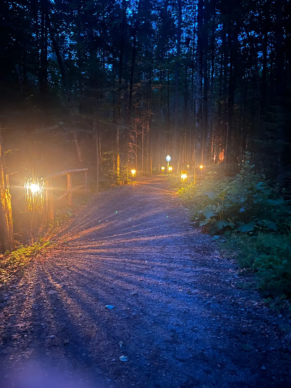 Sentier en forêt éclairé de nuit par plusieurs luminaires installés le long du parcours.