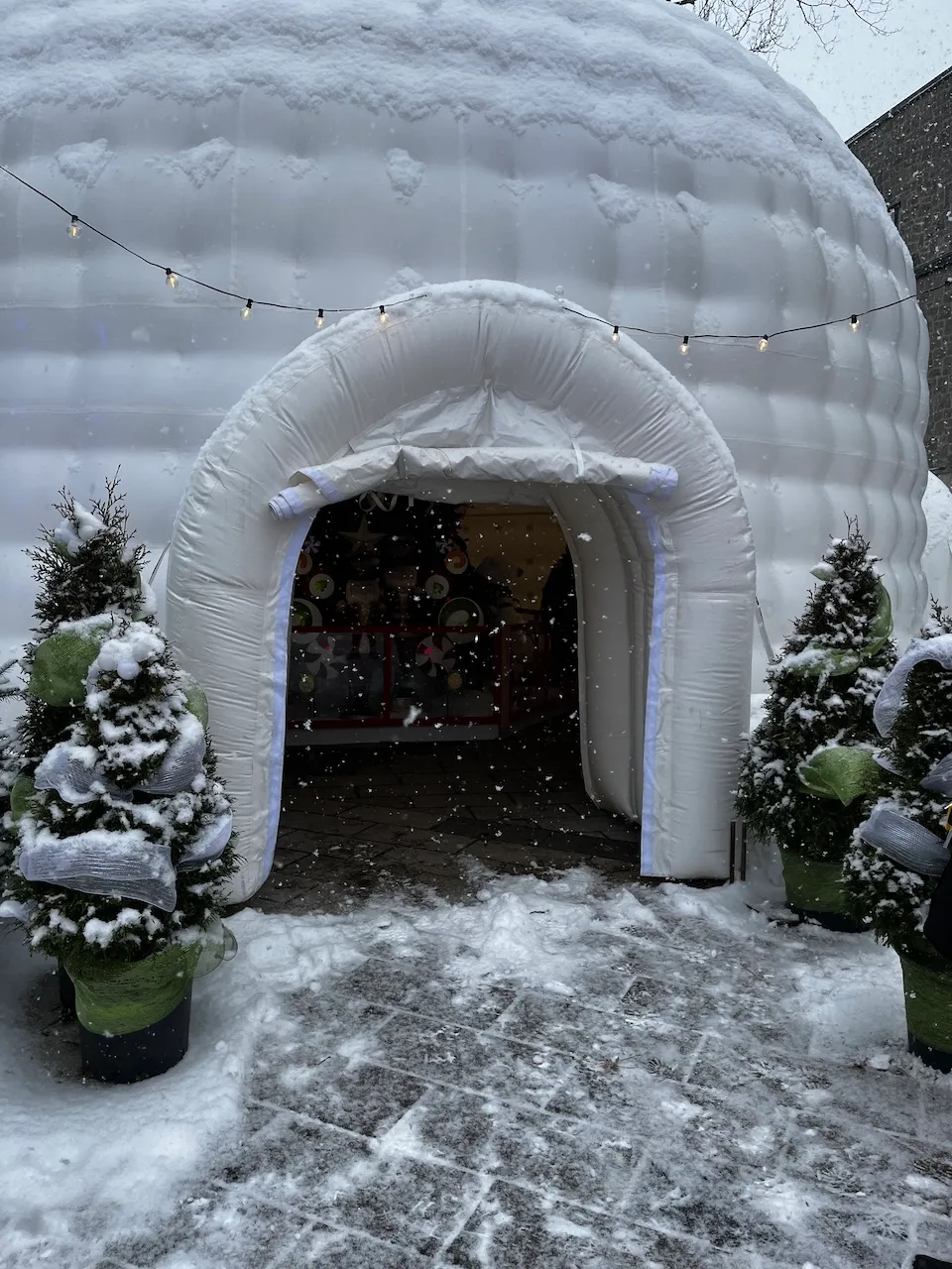 Exhibition dome - entrance