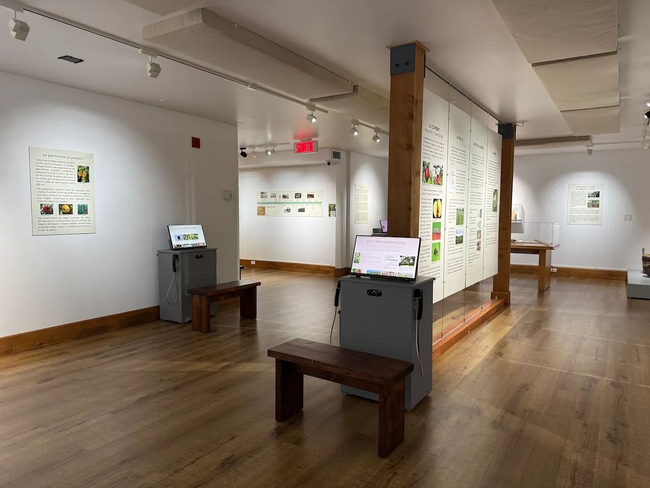 Temporary Exhibition - Basement