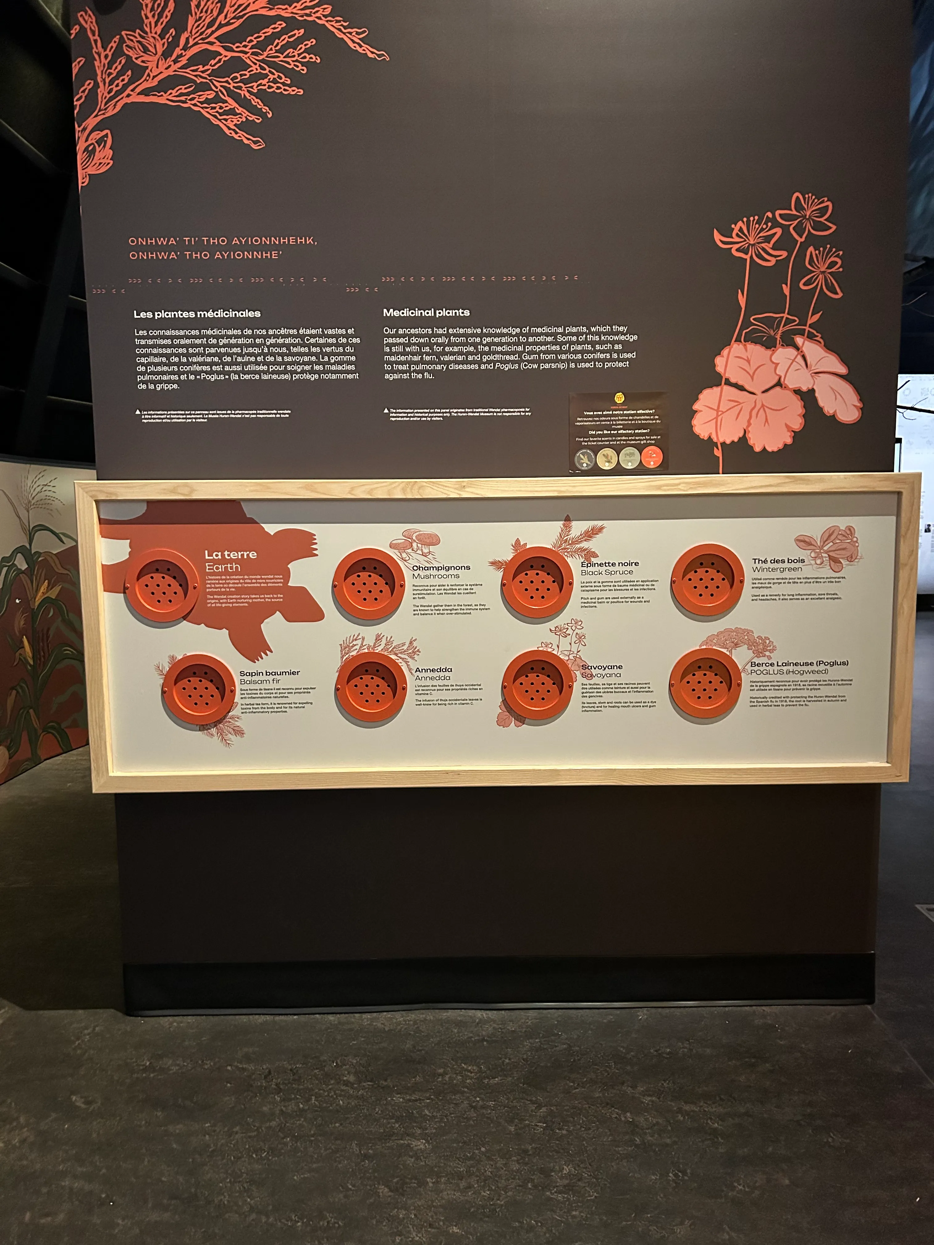 Permanent Exhibition Hall - Scent Station
