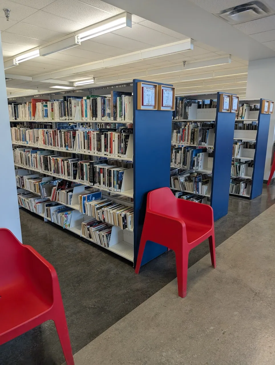 Rangées de livres section adultes