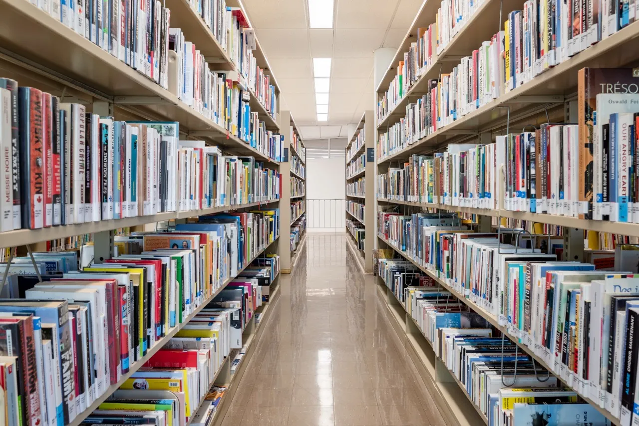 Adult Book Shelves