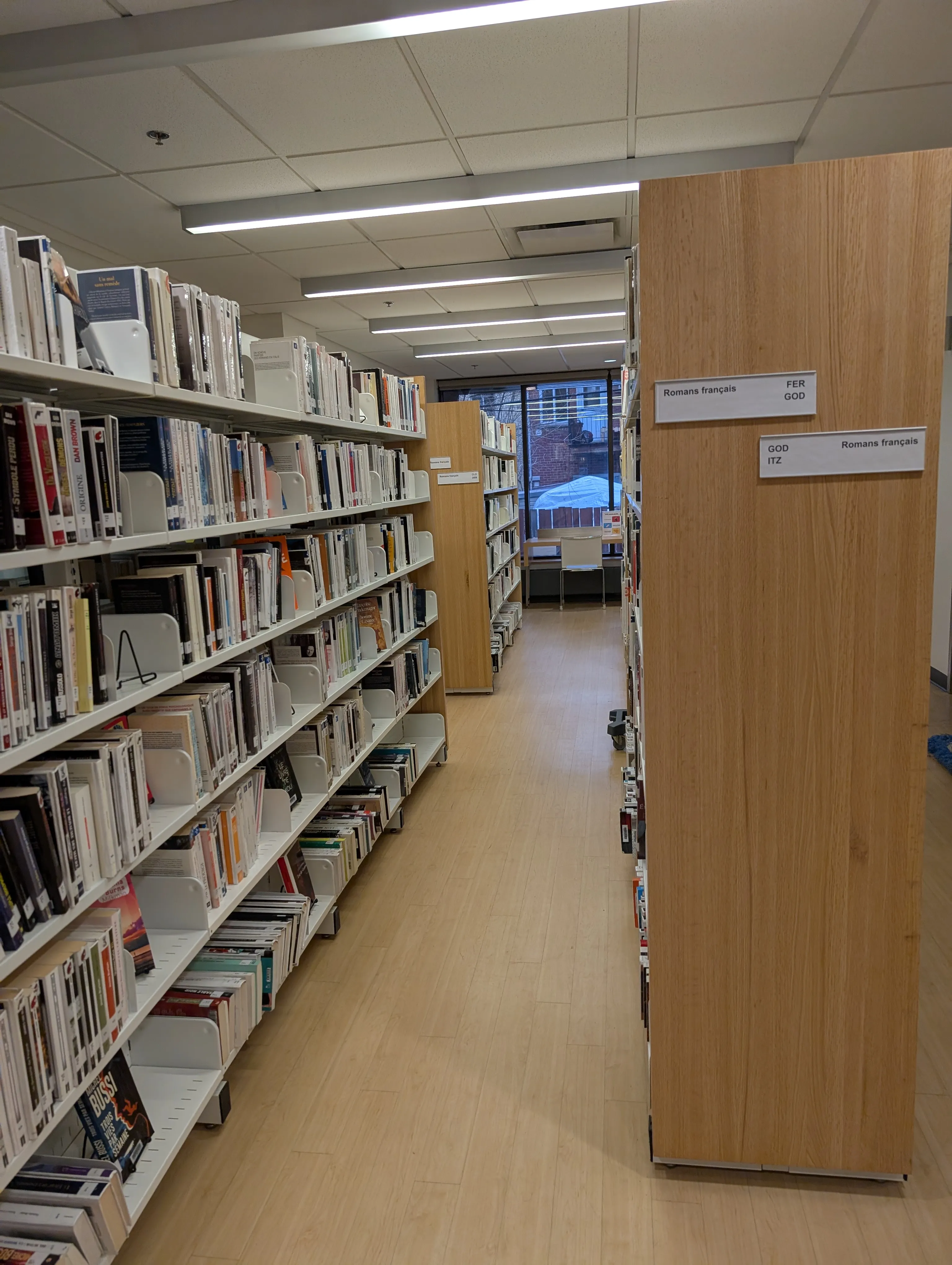 Bookshelves in the adult section