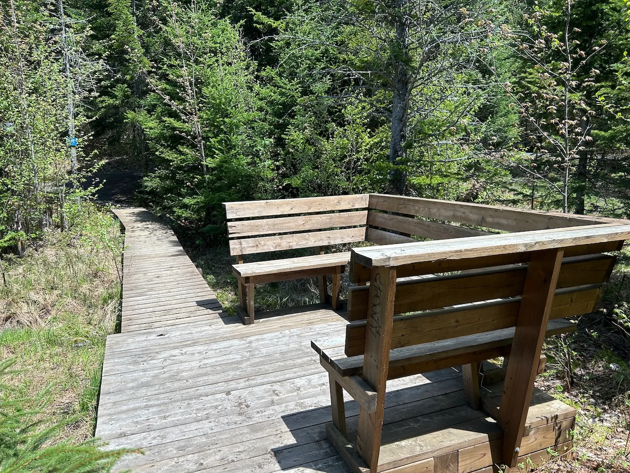 Amigo Lake Lookout