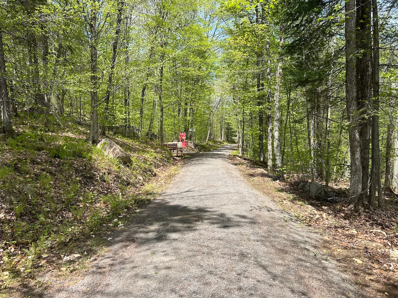 Family Trail