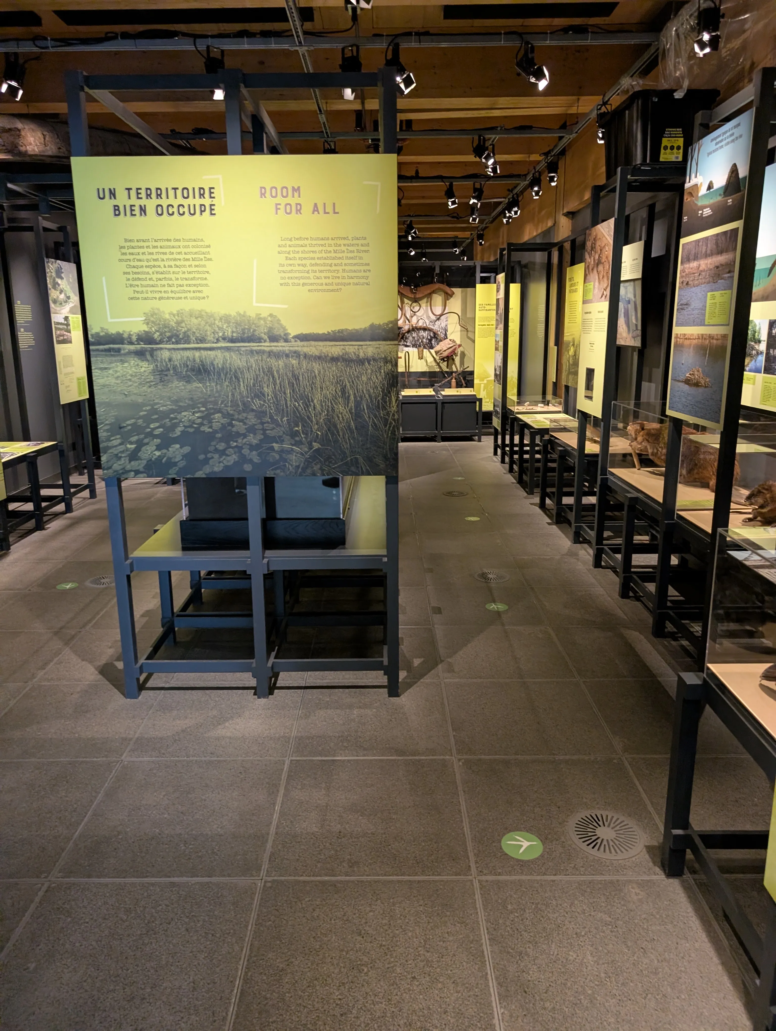 “Unbelievable, but True!” Exhibition - Inside the Exhibition