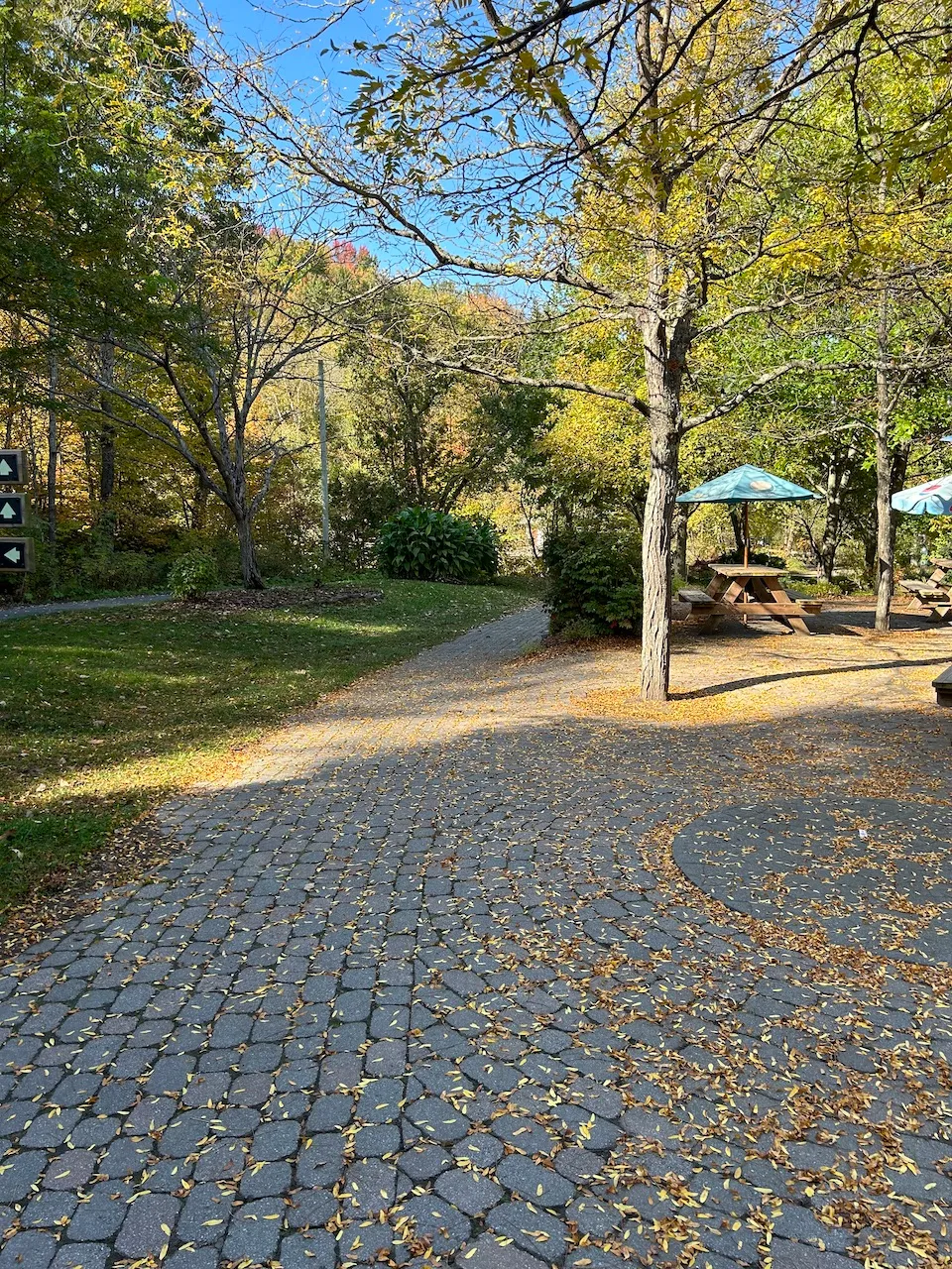 Access to the pool and water play area