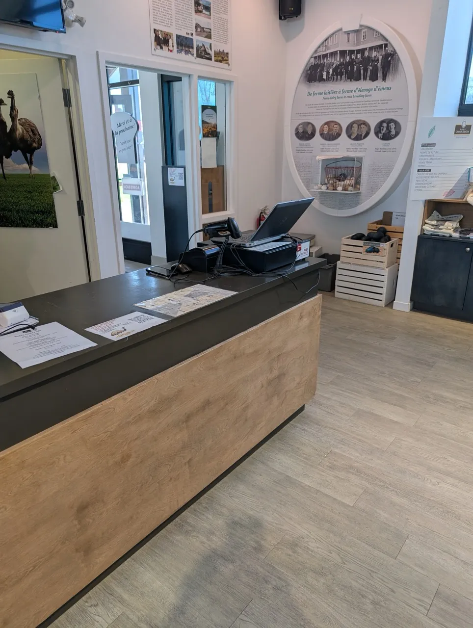 Inside the store - counter