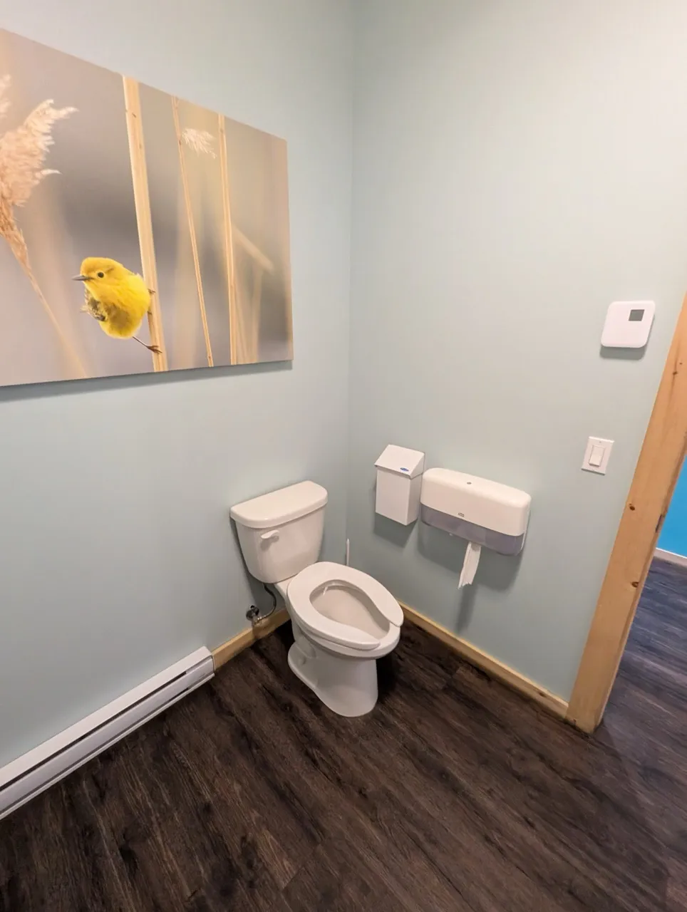 Salle de toilette - cuvette