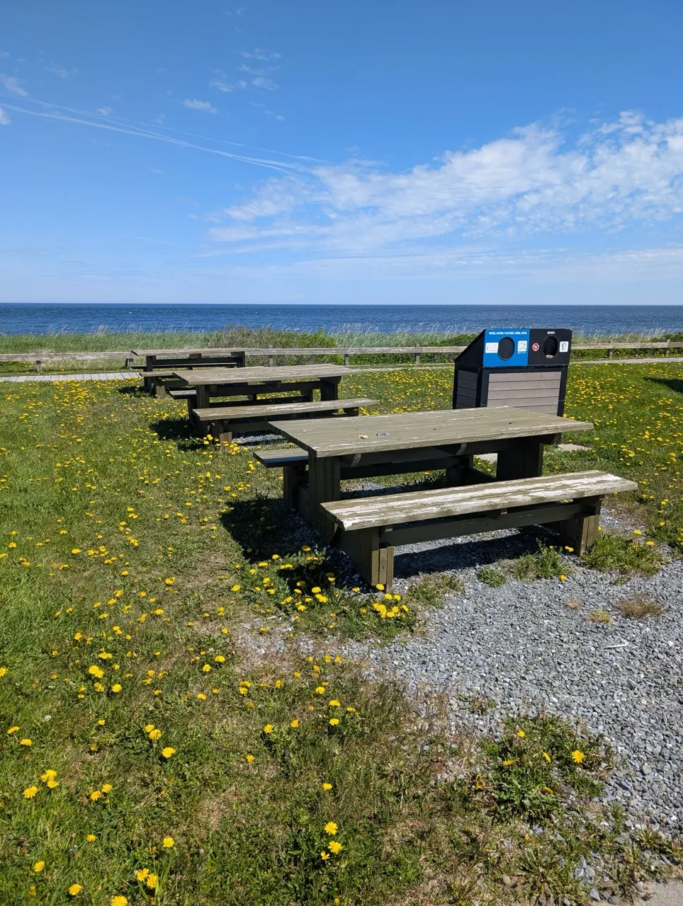 Tables de pique-nique sur un revêtement pelouse/gros gravier