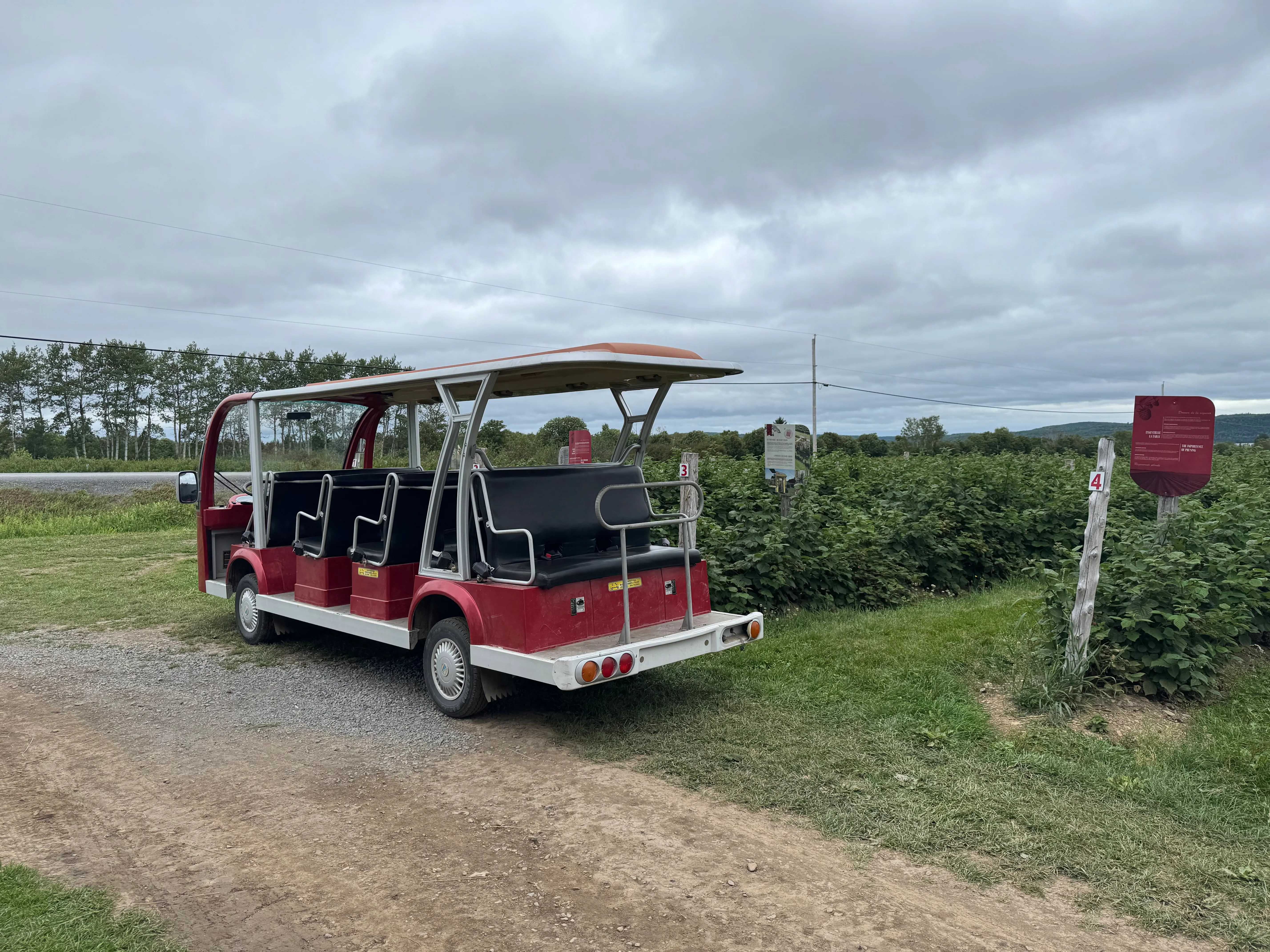 Véhicule pour visite guidée