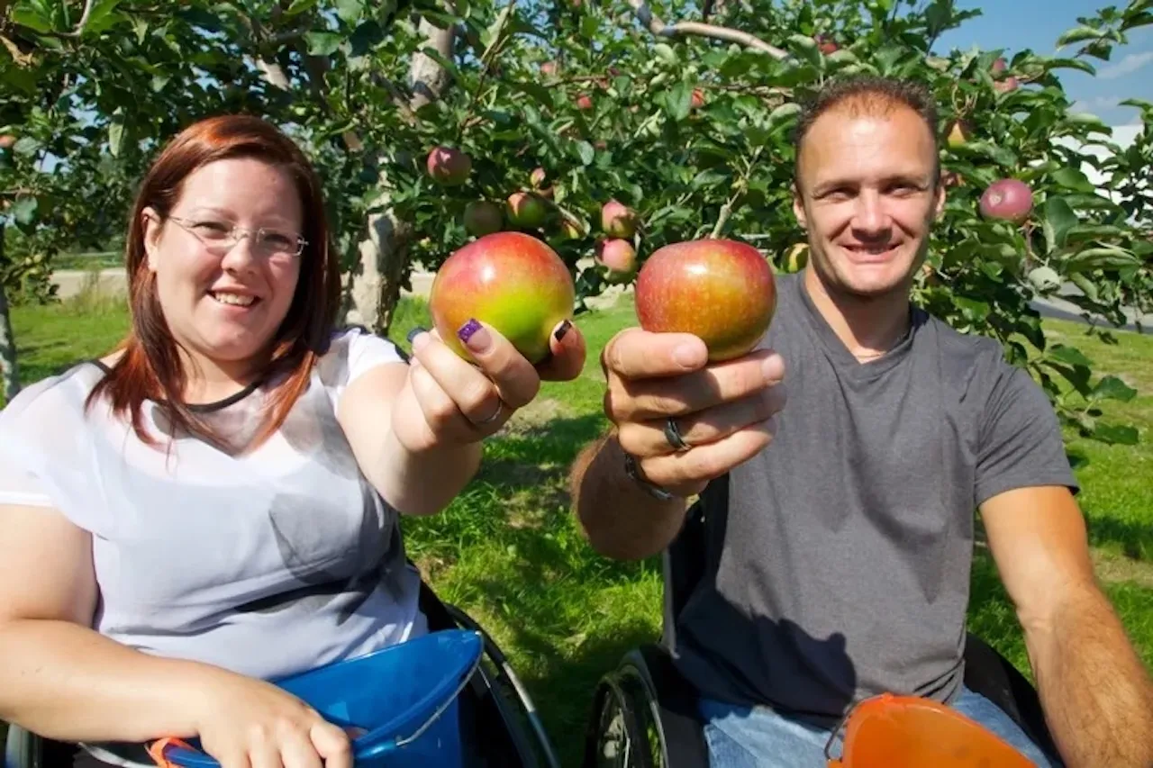 Two people in wheelchairs holding apples in their hands
