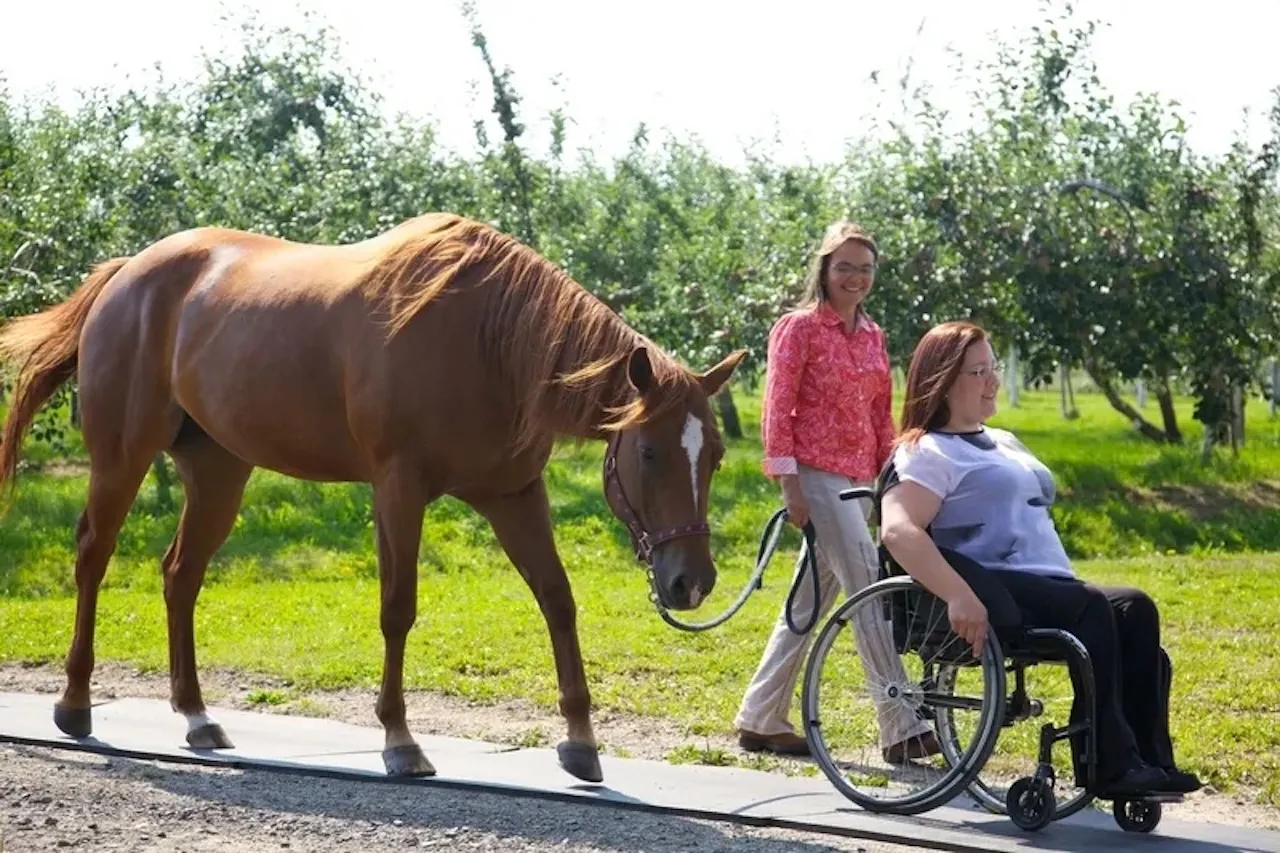 Person in a wheelchair and a horse