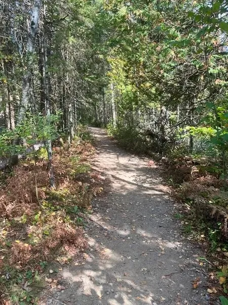 Cascatelles Trail - 11% grade over 15 meters