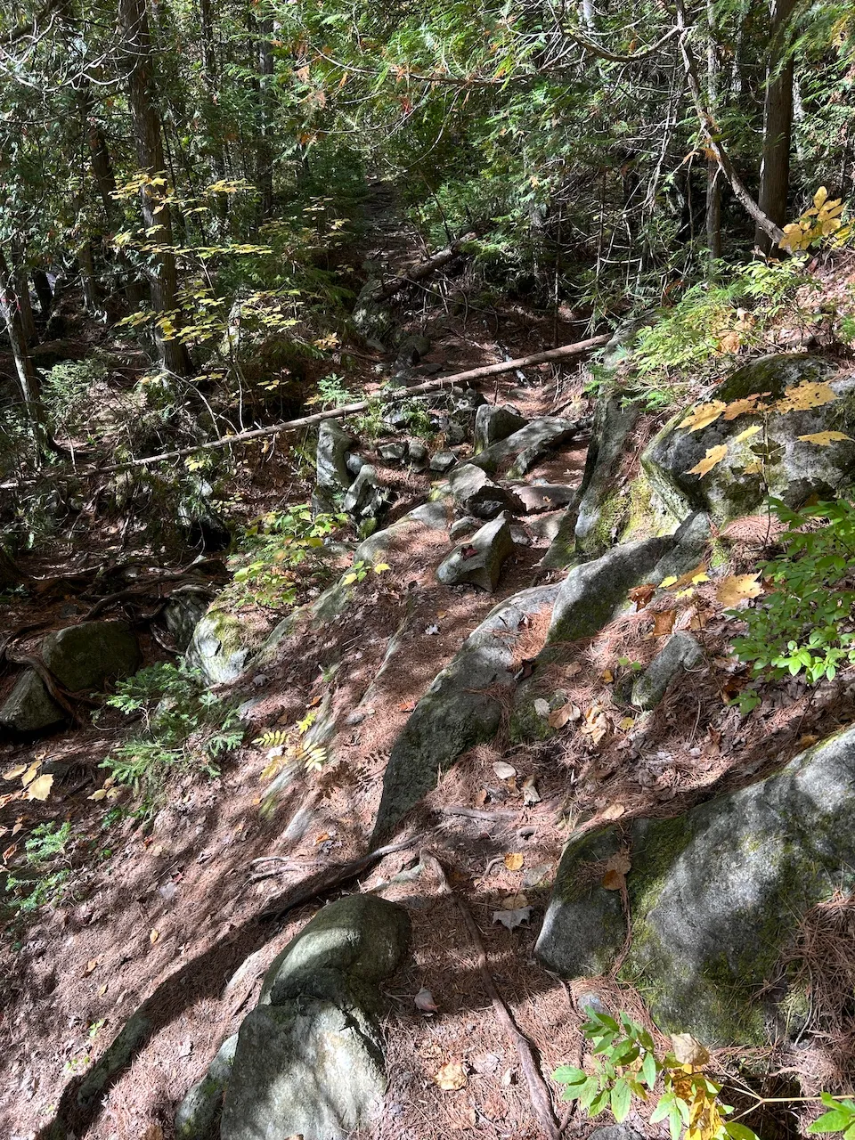 Sentier des Murmures