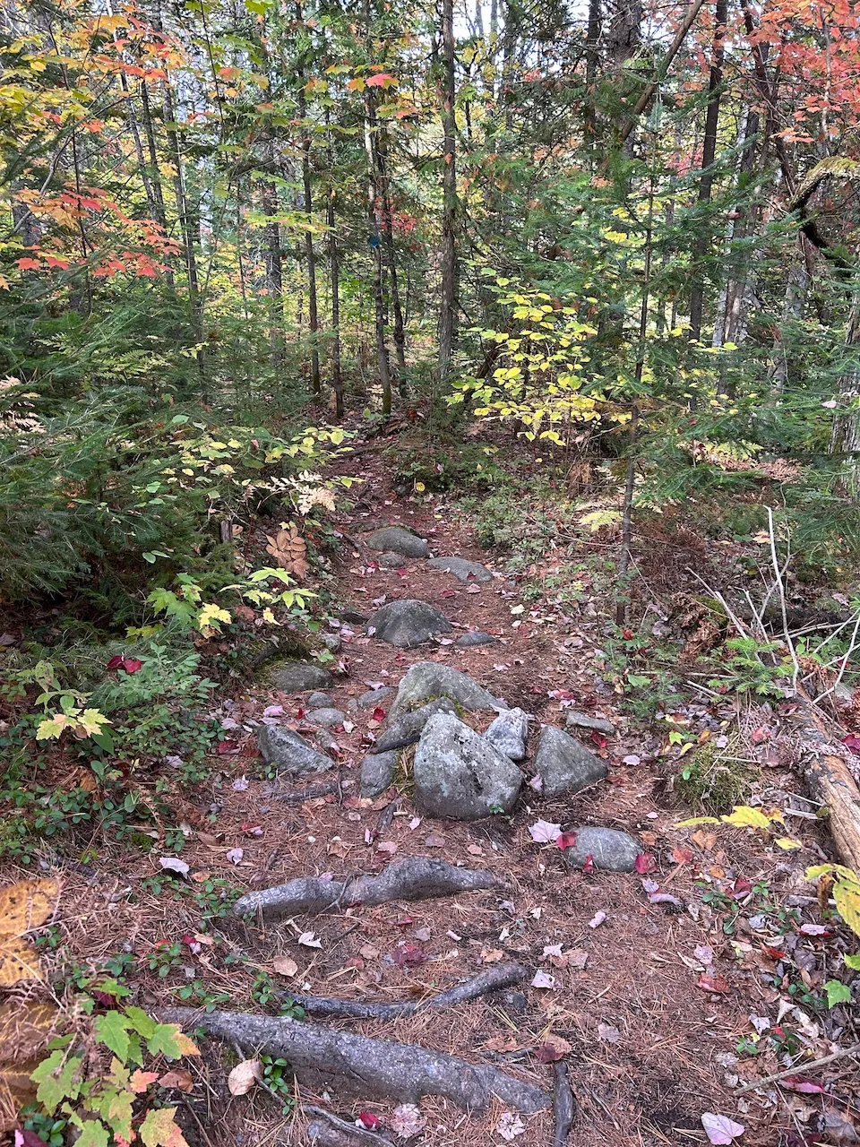 Sentier de la Petite rivière du Nord