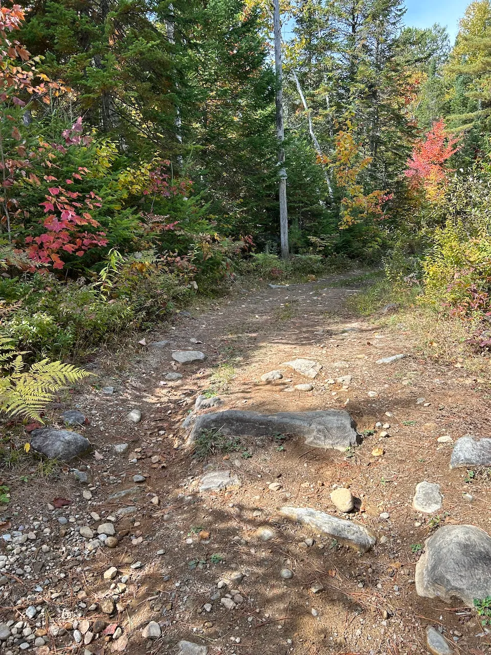 Sentier menant au pont suspendu