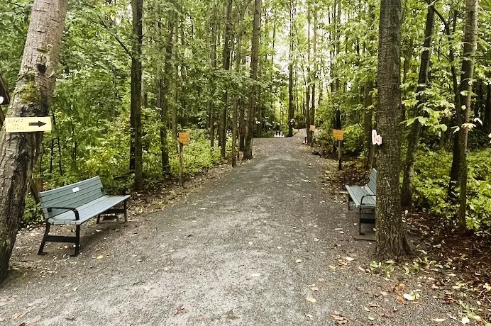 Sentier avec bancs