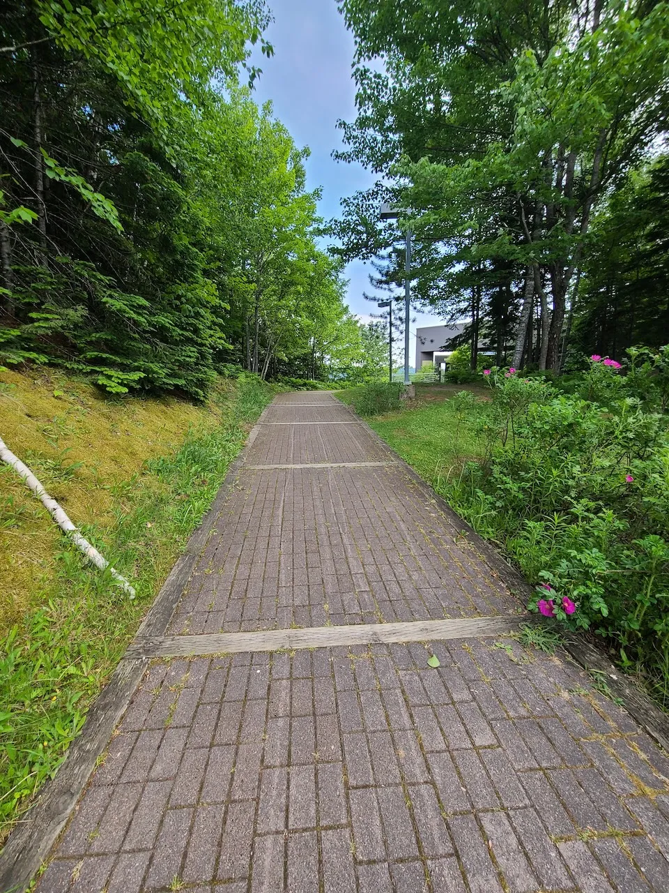 Path leading to the main entrance