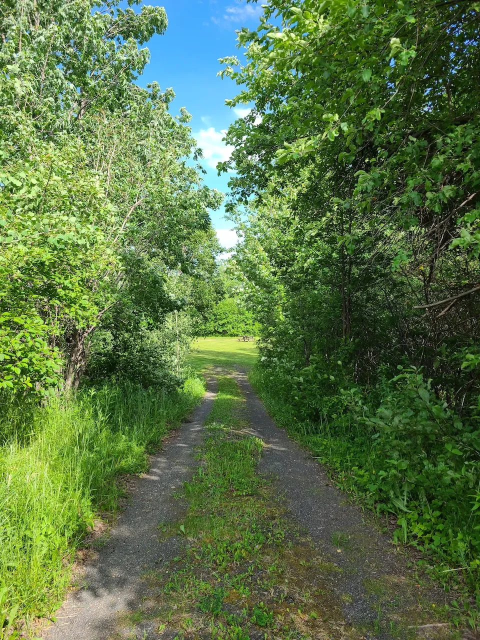 Path leading to the picnic area (10% grade and non-accessible surface)