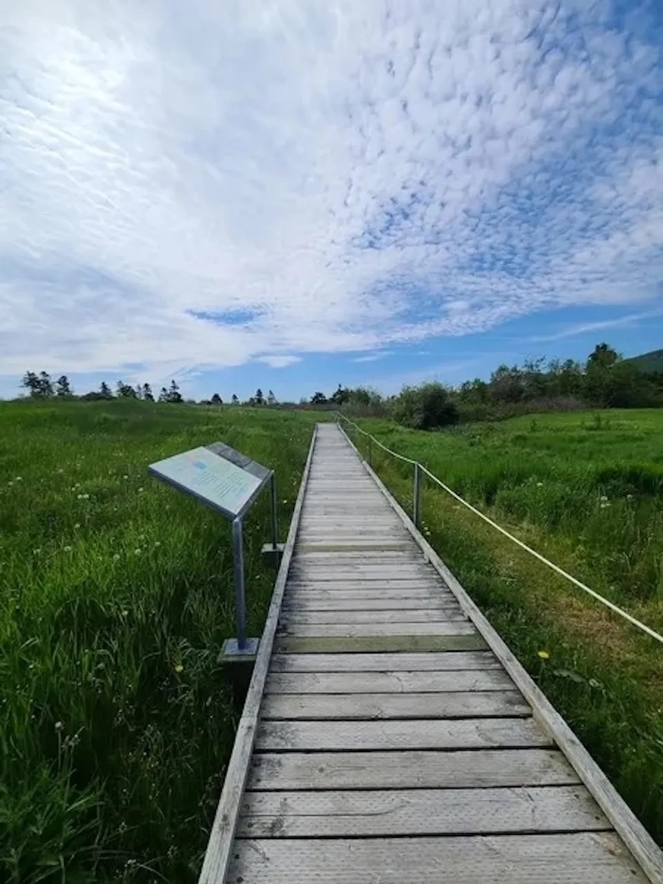 Sentier en bois
