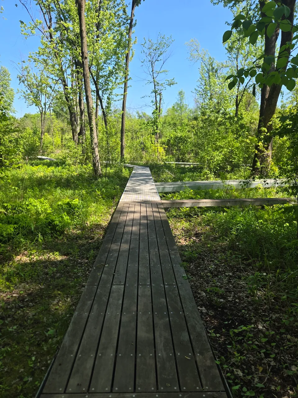 Bois-de-Liesse Nature Park Trail