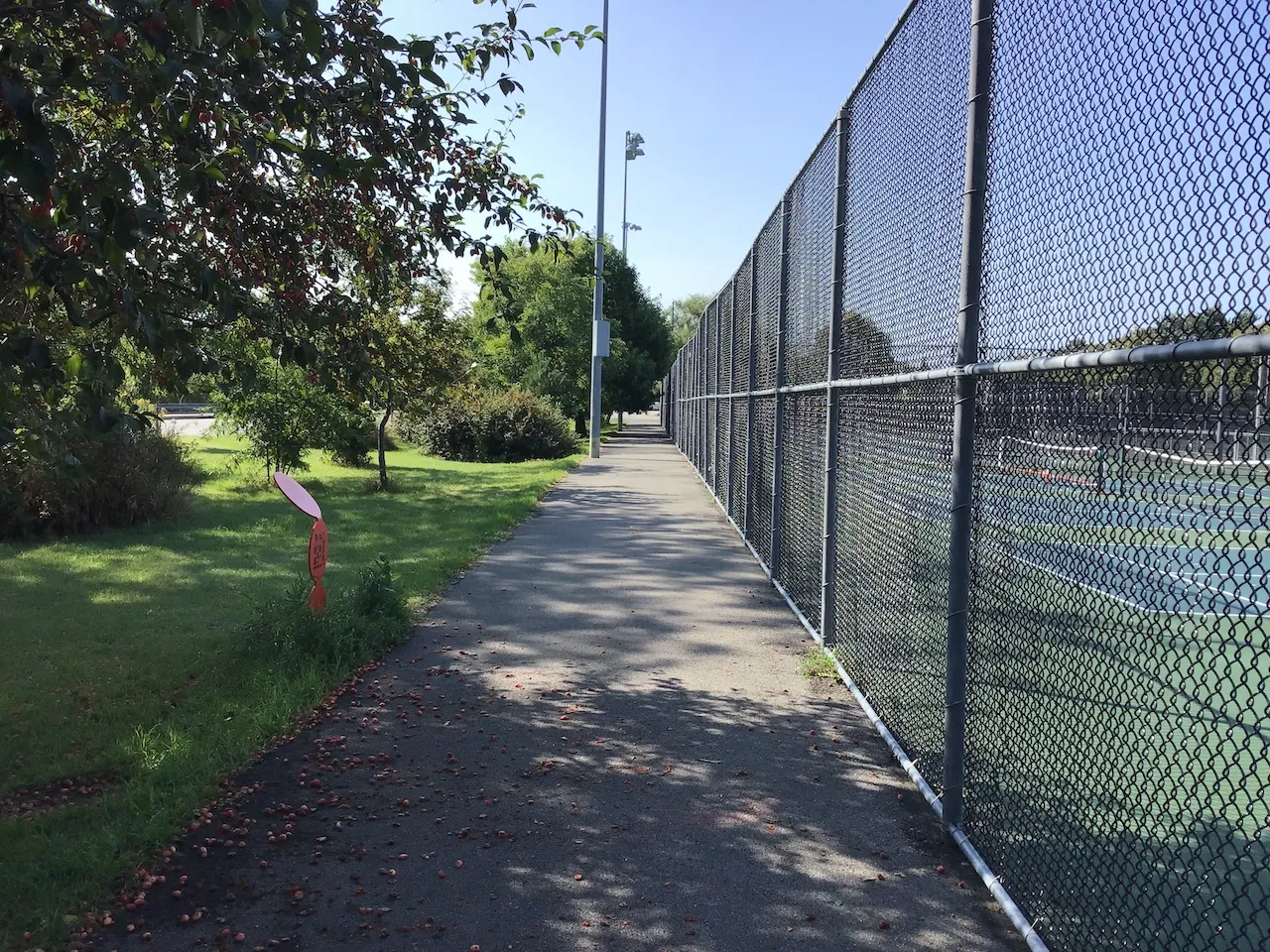 Park's circulation area