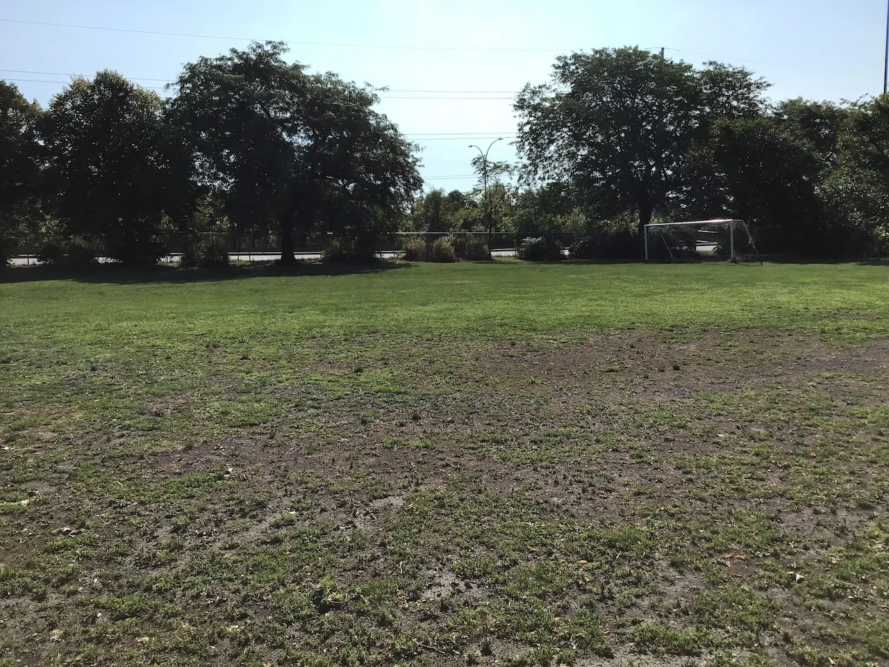 Soccer game on the grass