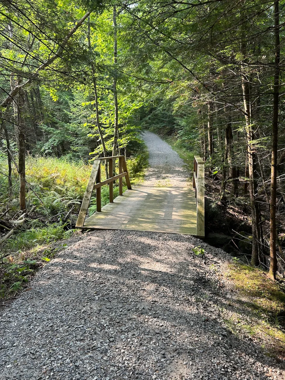 Sentier Vieux chemin