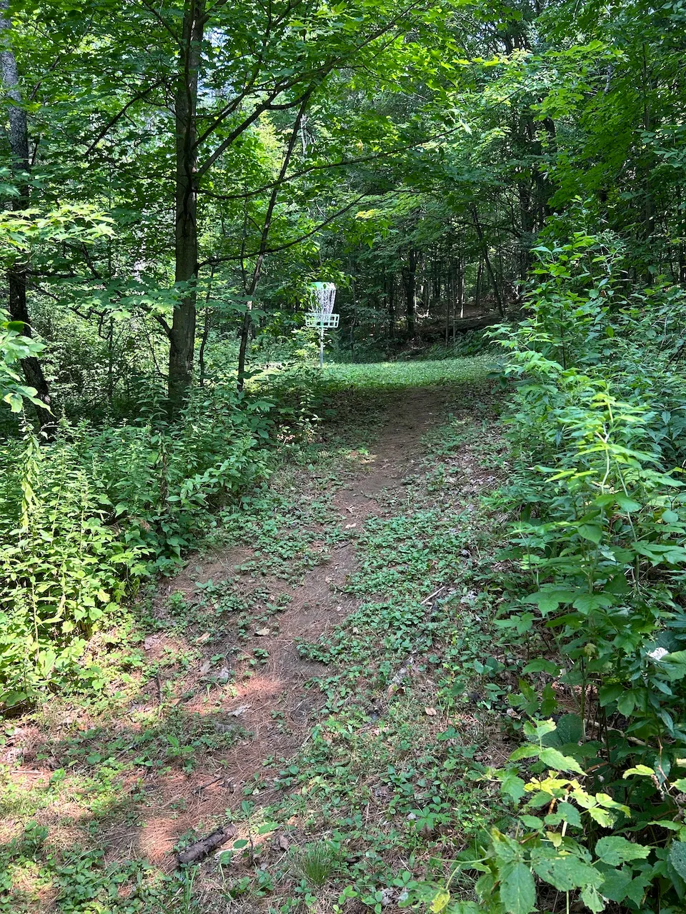 Parcours de disque golf