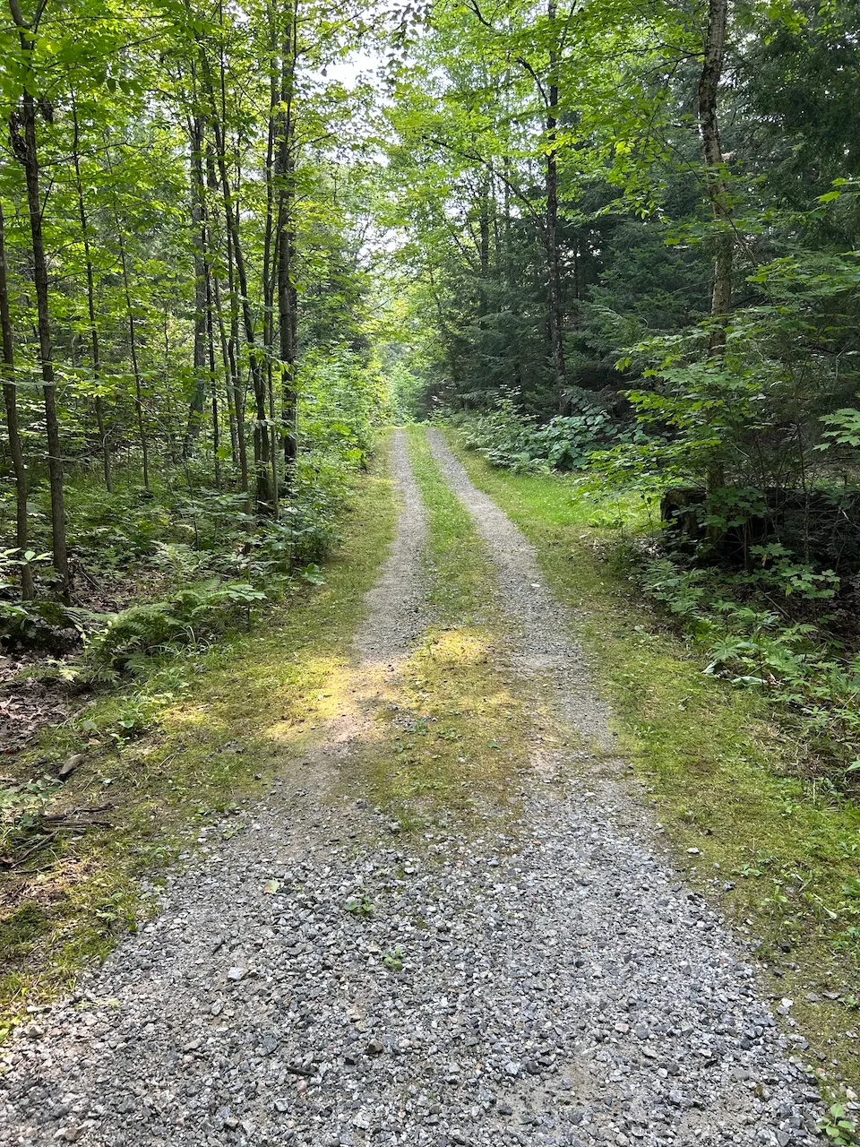 Sentier Vieux chemin