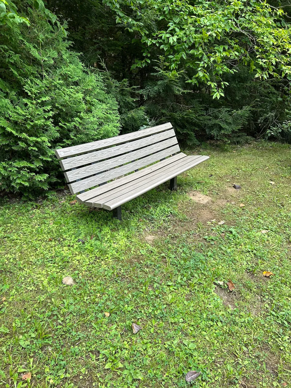 Espace de repos sur le sentier Vieux chemin