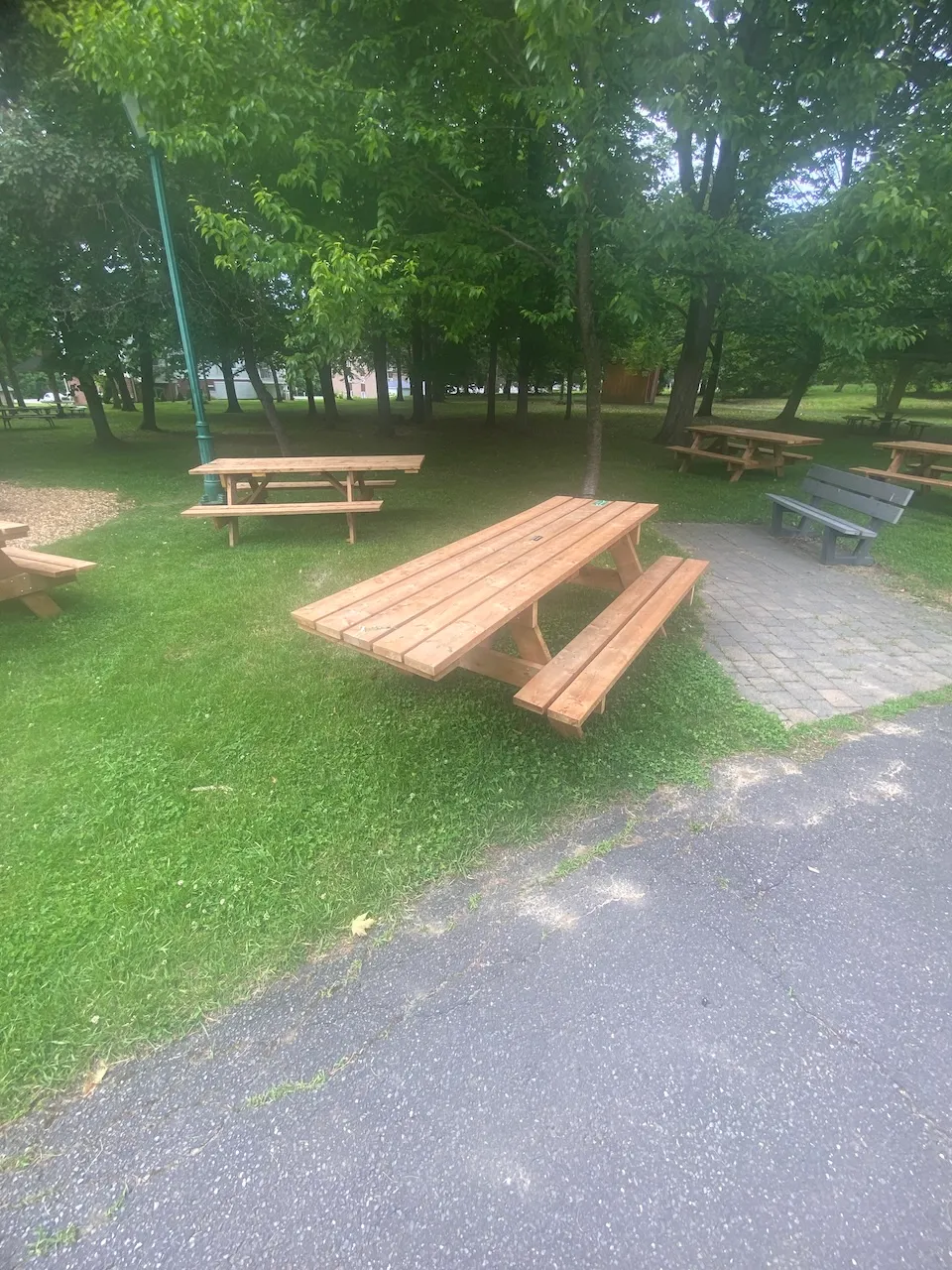 Picnic Table