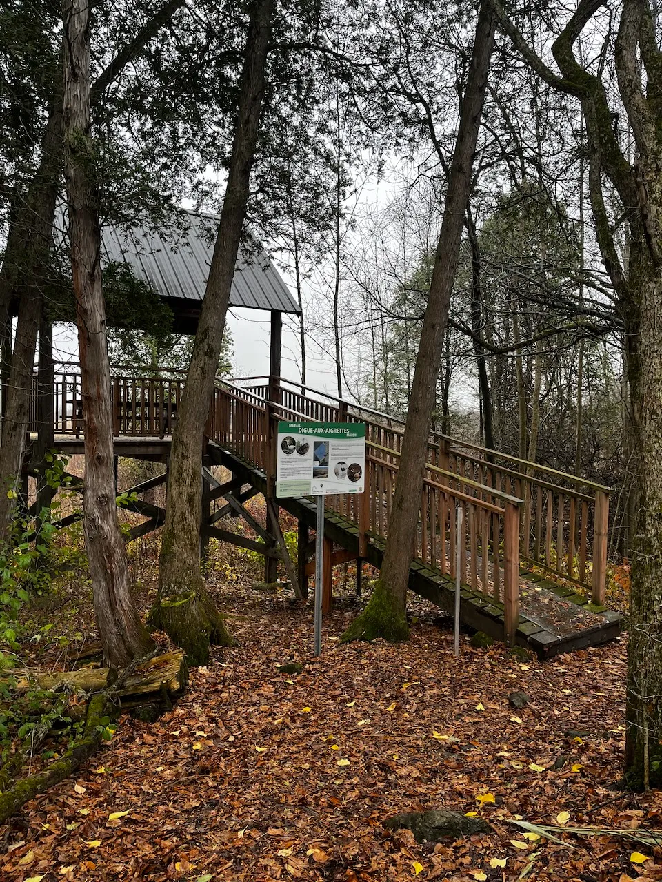 Plateforme d'observation à mi-parcours - seuil de 18 cm, rampe à 21% de 104 cm de largeur (non accessible)