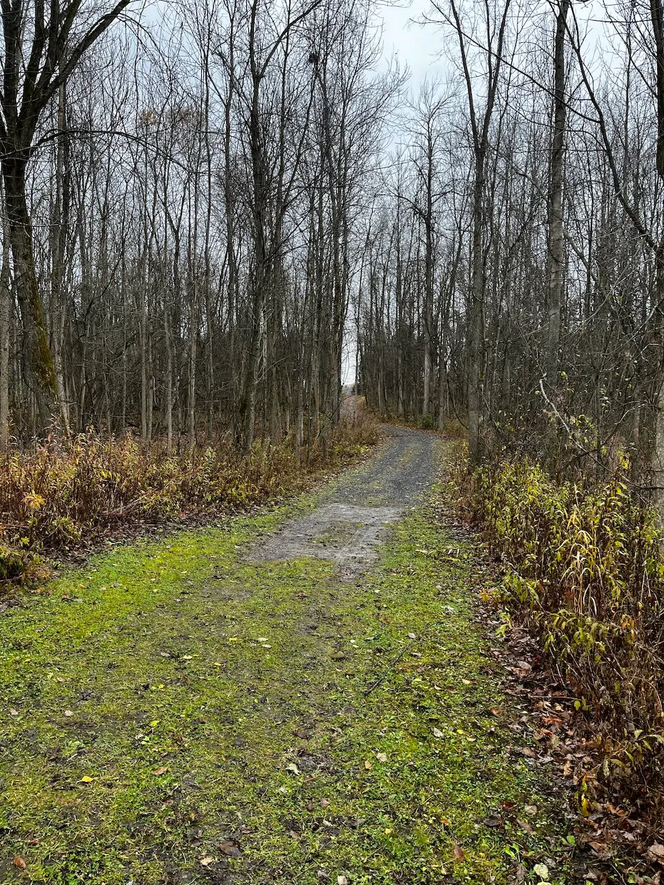Sentier de la Digue-aux-Aigrettes