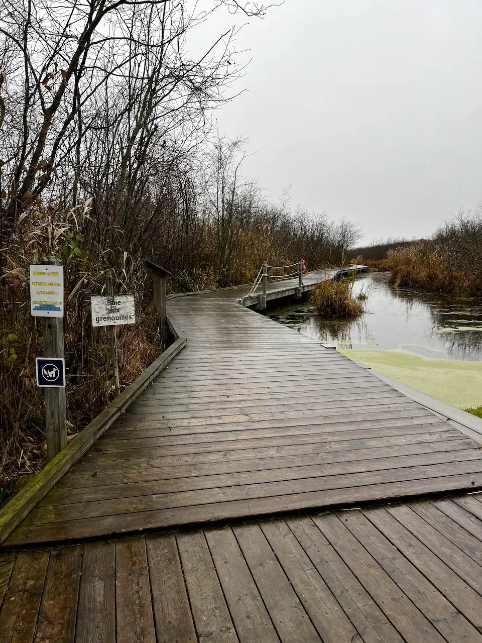 Accès à cette section du sentier - pente de 8% et ressaut de 3 cm