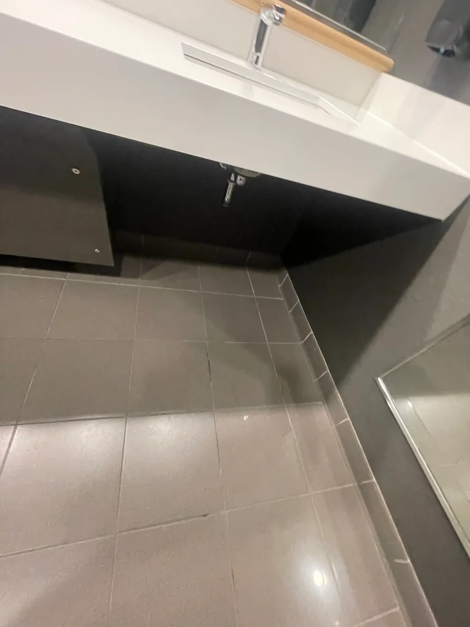Accessible sink
