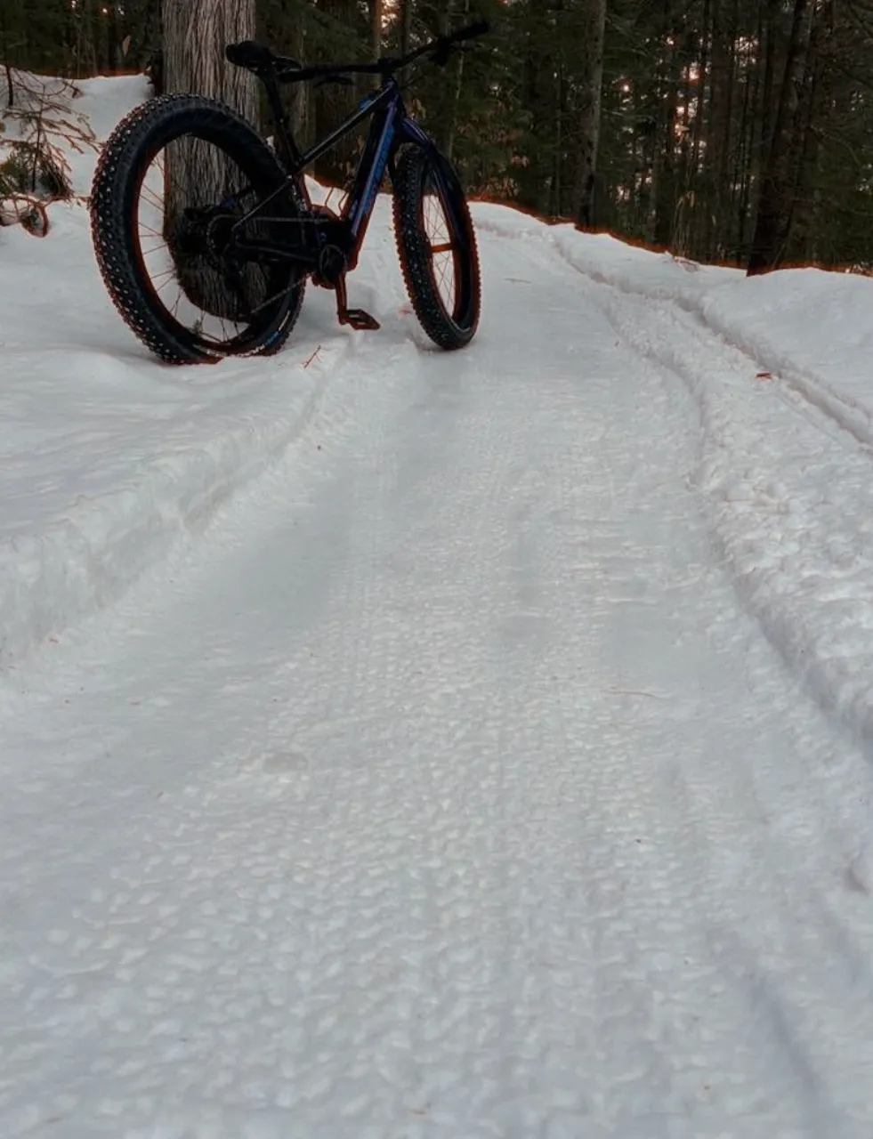 Fatbike trails