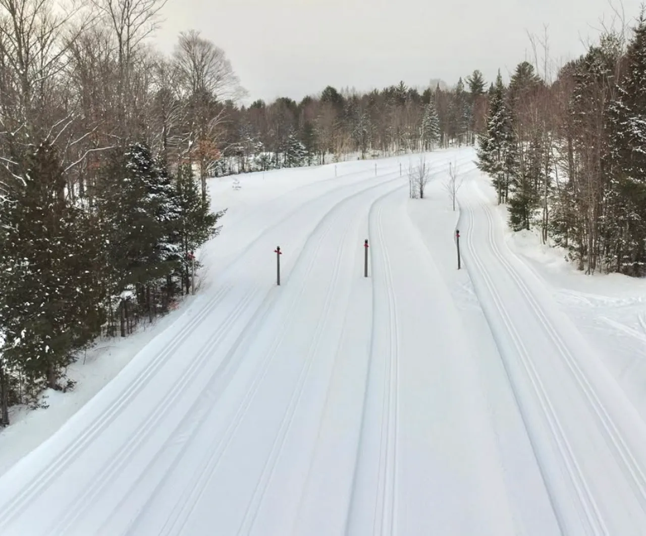 Cross-country ski trails