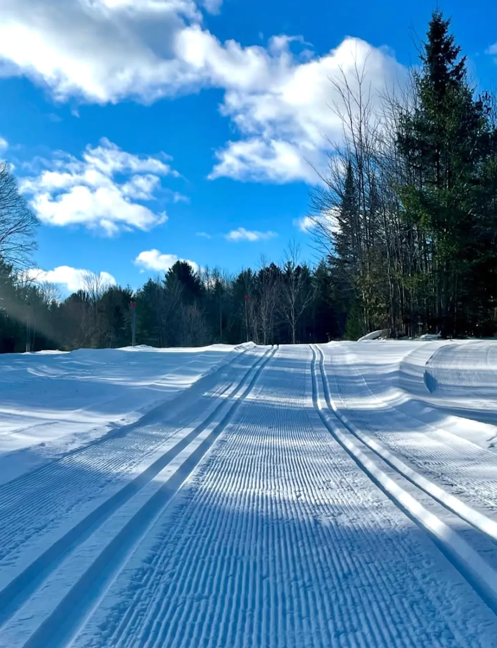 Cross-country ski trails
