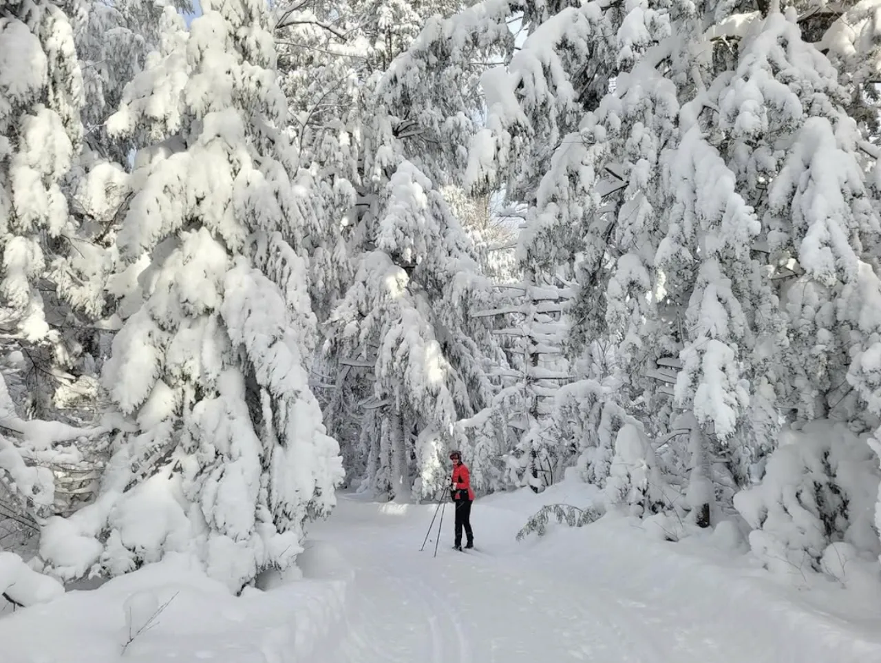 Cross-country ski trails