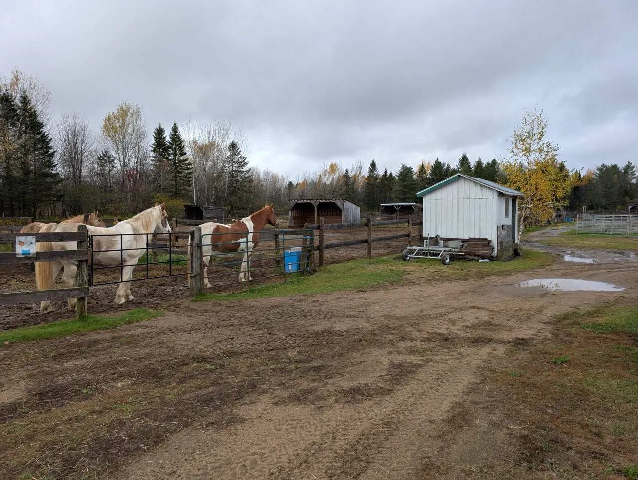 Parcours entre le club house et l'écurie