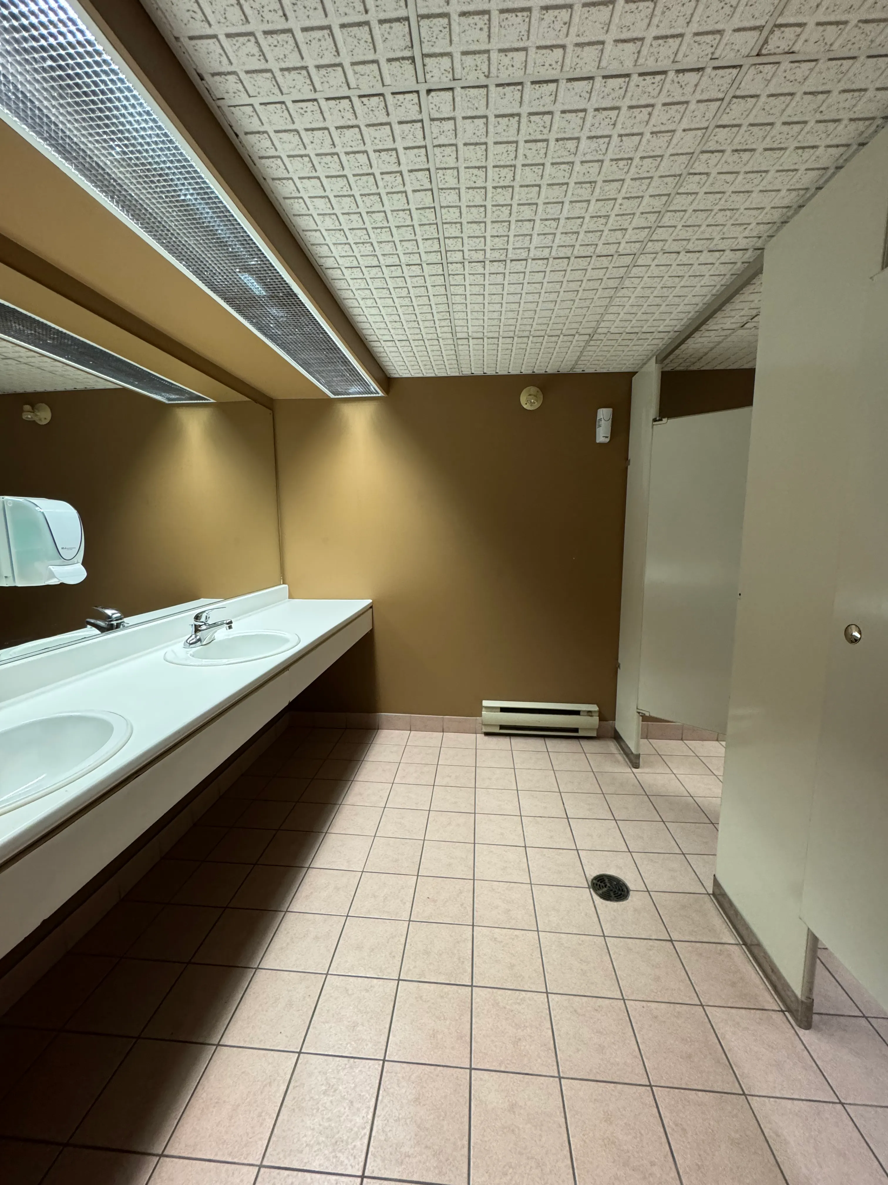 Bathroom in the basement