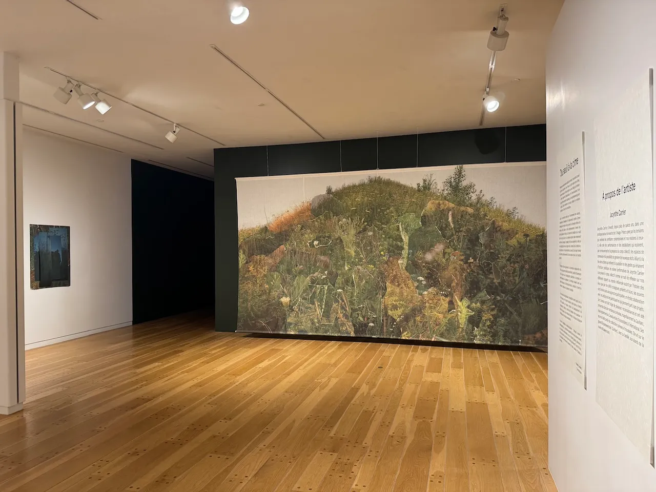 Exposition temporaire - Salle Jack Herbert