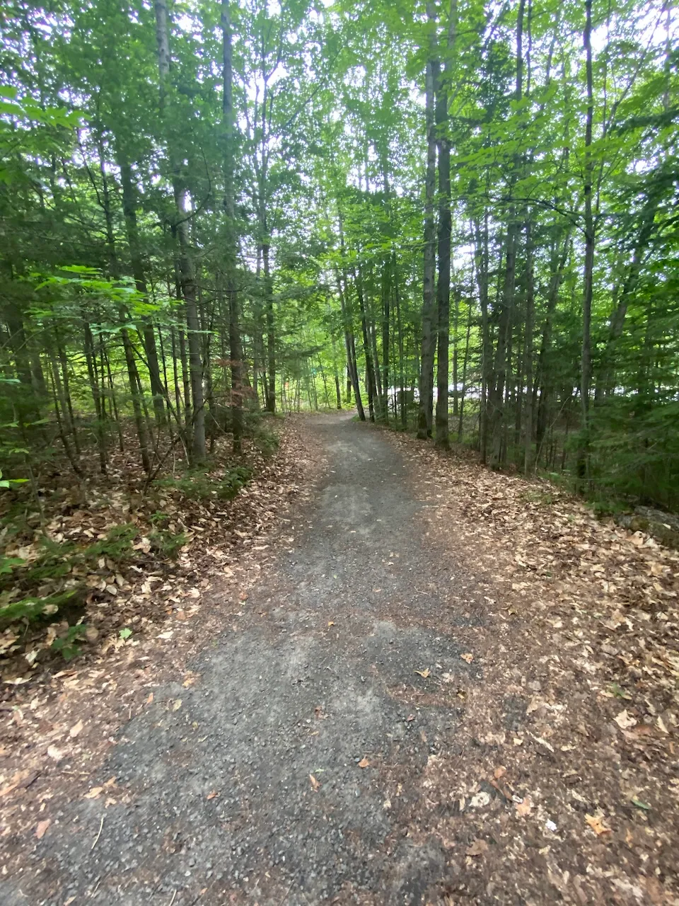 Sentier - belvédère