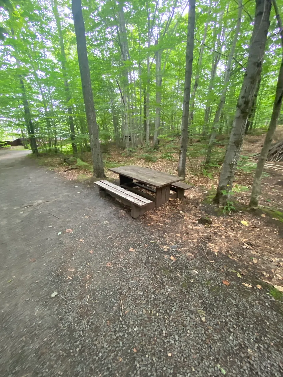 Sentier - belvédère
