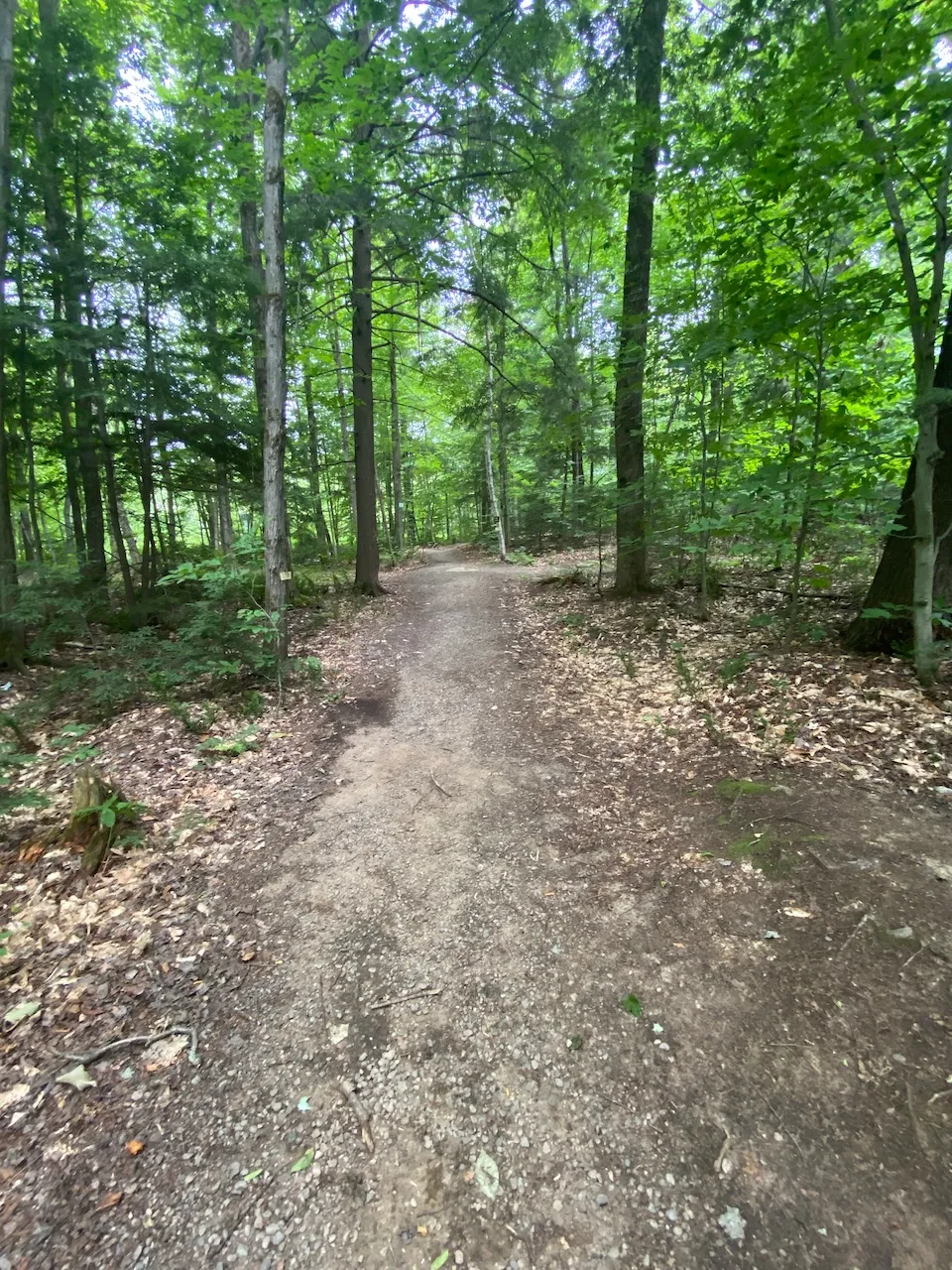 Sentier - La Facile (secteur des chutes)