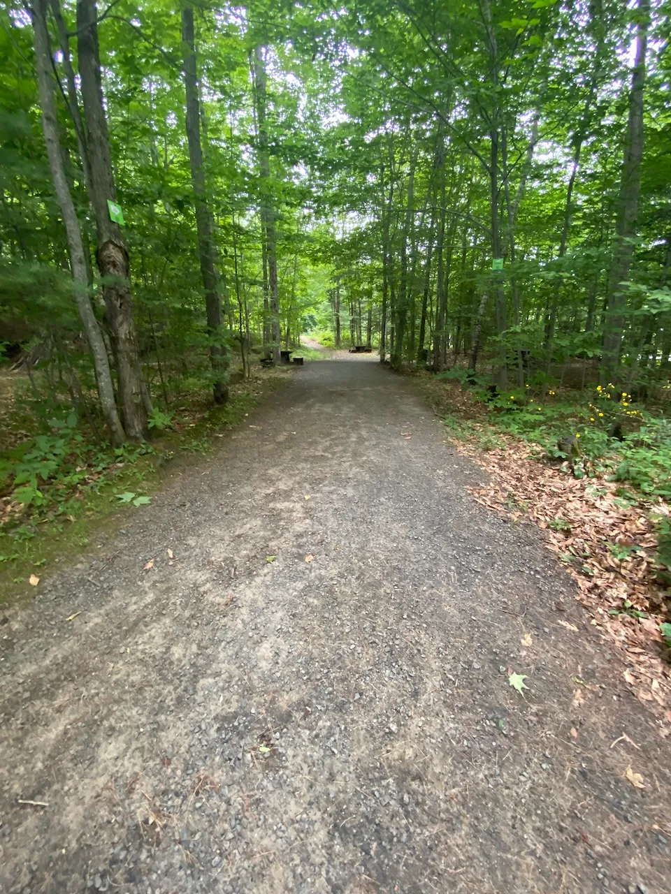 Sentier - belvédère